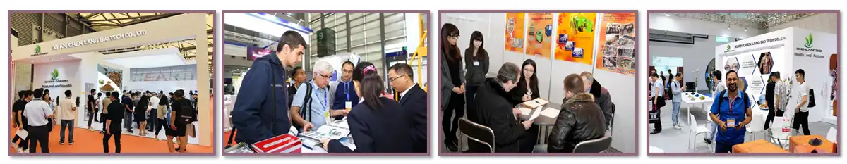 Exhibition 1.jpg Exhibition 1.jpg